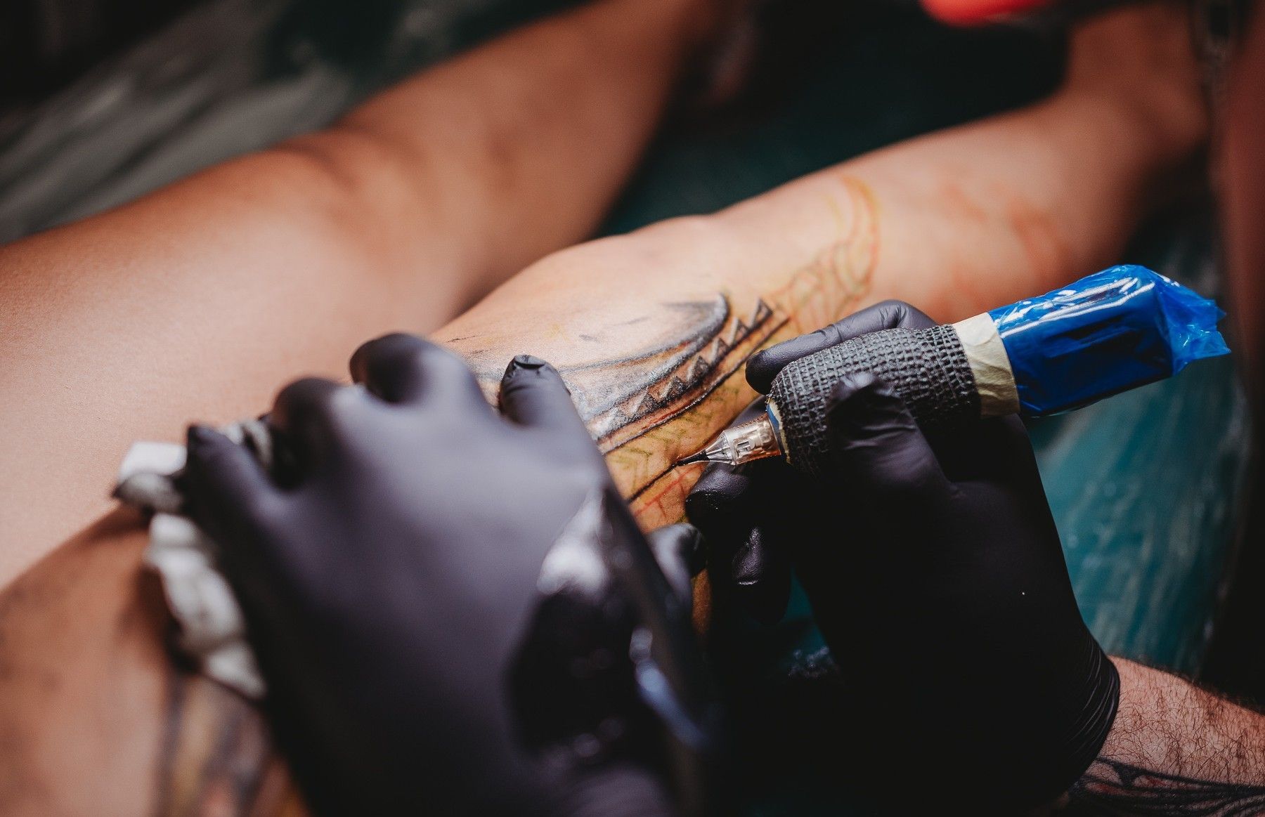thumbnail_Client receives Ta moko at Toi Kiri 2024 festival. Photo credit Naera Ohia Photography.jpg